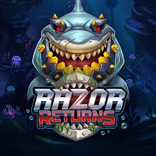Razor Returns demo